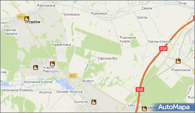 mapa Dąbrowa-Bór, Dąbrowa-Bór na mapie Targeo