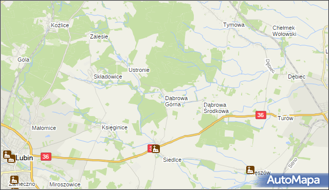 mapa Dąbrowa Górna gmina Lubin, Dąbrowa Górna gmina Lubin na mapie Targeo