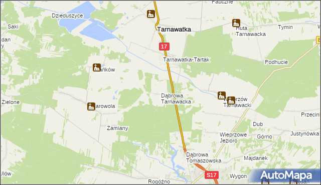 mapa Dąbrowa Tarnawacka, Dąbrowa Tarnawacka na mapie Targeo