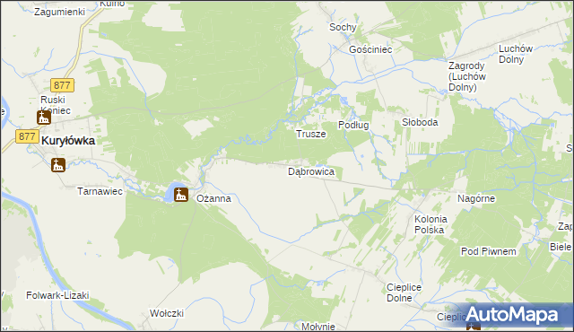 mapa Dąbrowica gmina Kuryłówka, Dąbrowica gmina Kuryłówka na mapie Targeo