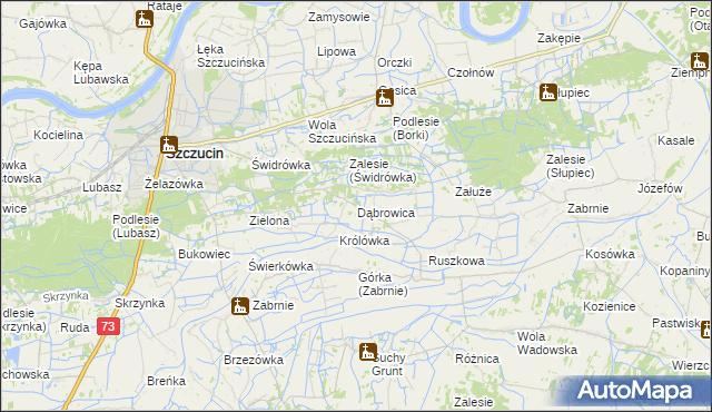 mapa Dąbrowica gmina Szczucin, Dąbrowica gmina Szczucin na mapie Targeo