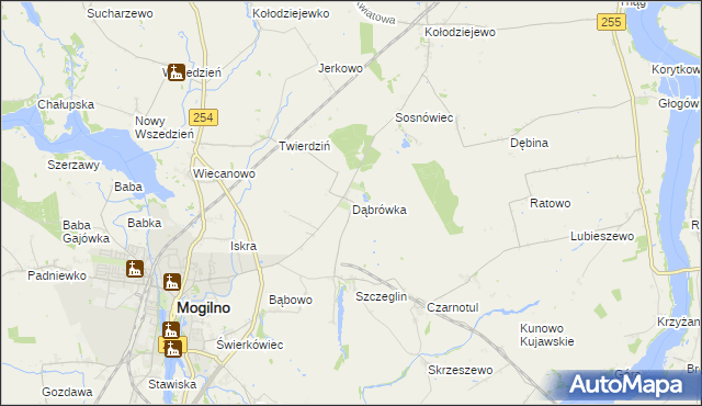 mapa Dąbrówka gmina Mogilno, Dąbrówka gmina Mogilno na mapie Targeo