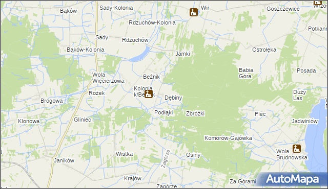 mapa Dębiny gmina Przysucha, Dębiny gmina Przysucha na mapie Targeo