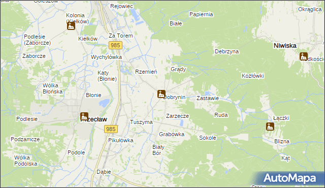 mapa Dobrynin, Dobrynin na mapie Targeo