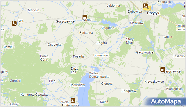 mapa Domaniów gmina Przytyk, Domaniów gmina Przytyk na mapie Targeo