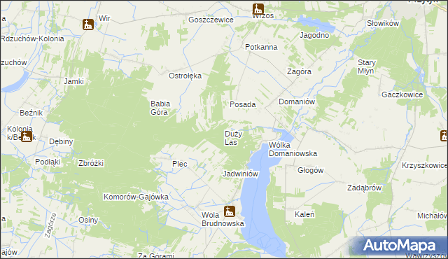 mapa Duży Las gmina Przytyk, Duży Las gmina Przytyk na mapie Targeo