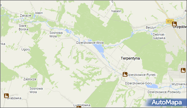 mapa Dzierzkowice-Zastawie, Dzierzkowice-Zastawie na mapie Targeo