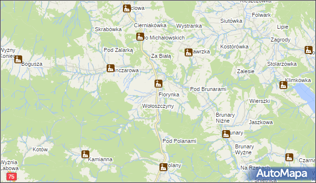 mapa Florynka, Florynka na mapie Targeo