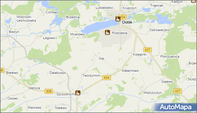 mapa Gaj gmina Gostyń, Gaj gmina Gostyń na mapie Targeo