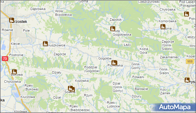 mapa Gogołów gmina Frysztak, Gogołów gmina Frysztak na mapie Targeo