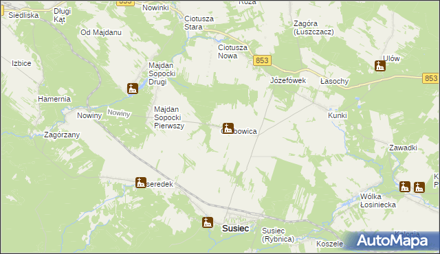 mapa Grabowica gmina Susiec, Grabowica gmina Susiec na mapie Targeo