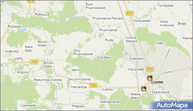 mapa Grzybów gmina Szadek, Grzybów gmina Szadek na mapie Targeo