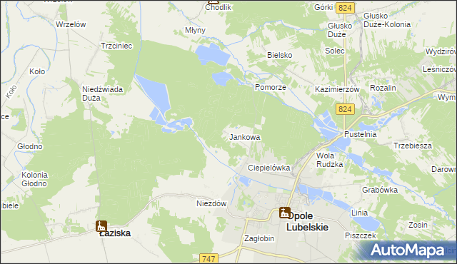 mapa Jankowa gmina Opole Lubelskie, Jankowa gmina Opole Lubelskie na mapie Targeo