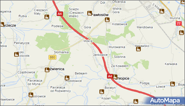 mapa Jankowice gmina Chłopice, Jankowice gmina Chłopice na mapie Targeo