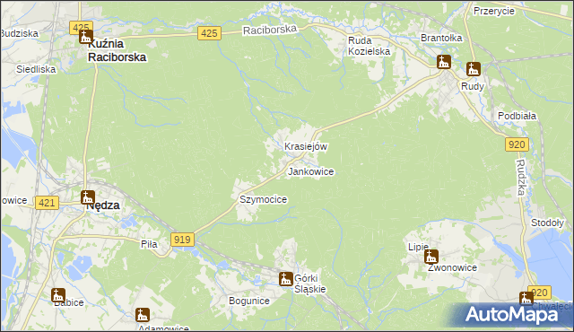 mapa Jankowice gmina Kuźnia Raciborska, Jankowice gmina Kuźnia Raciborska na mapie Targeo