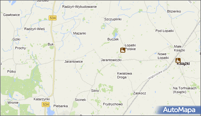 mapa Jarantowiczki gmina Ryńsk, Jarantowiczki gmina Ryńsk na mapie Targeo