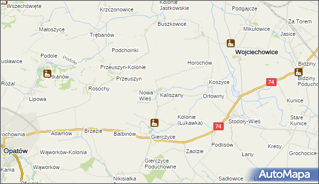 mapa Kaliszany gmina Wojciechowice, Kaliszany gmina Wojciechowice na mapie Targeo