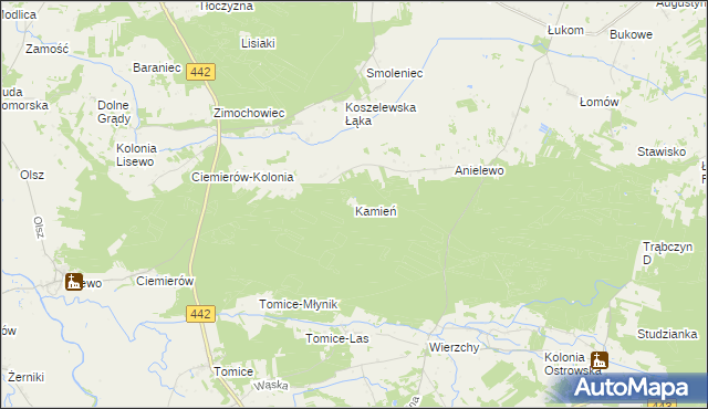 mapa Kamień gmina Pyzdry, Kamień gmina Pyzdry na mapie Targeo