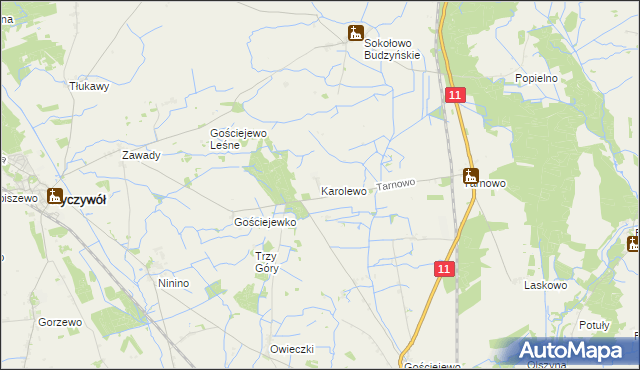 mapa Karolewo gmina Rogoźno, Karolewo gmina Rogoźno na mapie Targeo