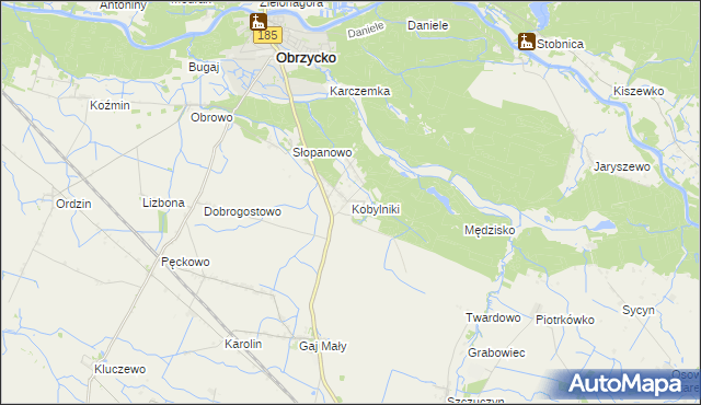 mapa Kobylniki gmina Obrzycko, Kobylniki gmina Obrzycko na mapie Targeo