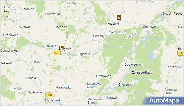 mapa Kokoszczyn gmina Mochowo, Kokoszczyn gmina Mochowo na mapie Targeo