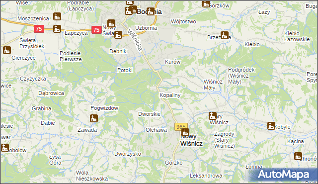 mapa Kopaliny gmina Nowy Wiśnicz, Kopaliny gmina Nowy Wiśnicz na mapie Targeo