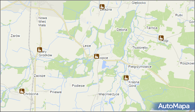 mapa Kopice gmina Grodków, Kopice gmina Grodków na mapie Targeo
