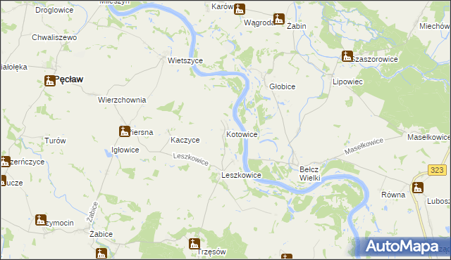 mapa Kotowice gmina Pęcław, Kotowice gmina Pęcław na mapie Targeo