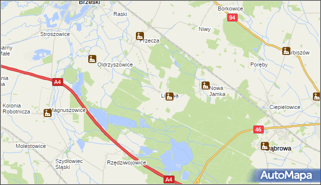 mapa Lipowa gmina Dąbrowa, Lipowa gmina Dąbrowa na mapie Targeo