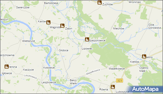 mapa Lipowiec gmina Niechlów, Lipowiec gmina Niechlów na mapie Targeo