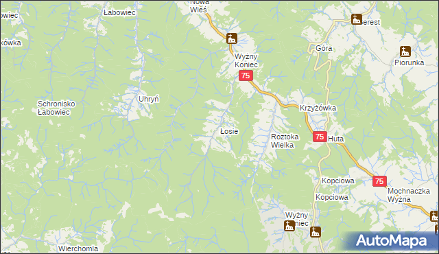 mapa Łosie gmina Łabowa, Łosie gmina Łabowa na mapie Targeo