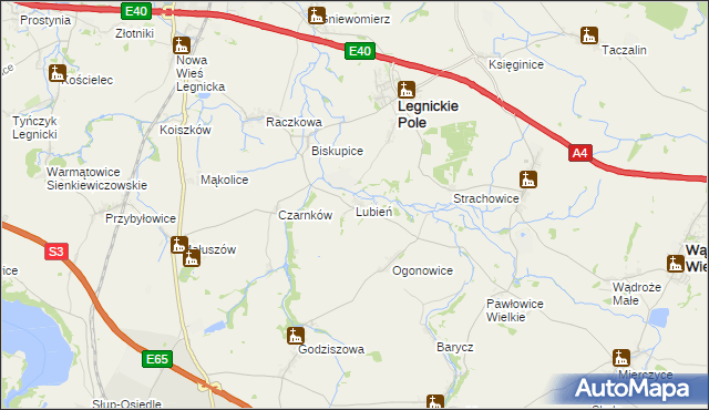 mapa Lubień gmina Legnickie Pole, Lubień gmina Legnickie Pole na mapie Targeo