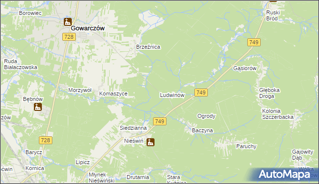 mapa Ludwinów gmina Gowarczów, Ludwinów gmina Gowarczów na mapie Targeo