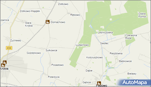 mapa Ludwinowo gmina Pępowo, Ludwinowo gmina Pępowo na mapie Targeo