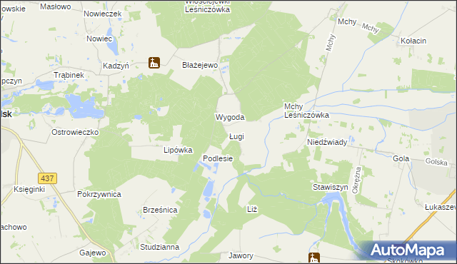 mapa Ługi gmina Książ Wielkopolski, Ługi gmina Książ Wielkopolski na mapie Targeo