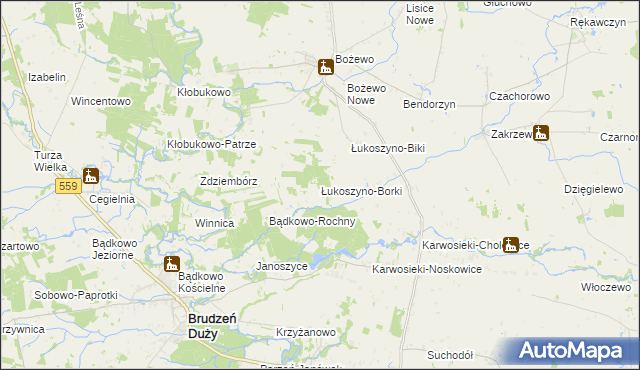 mapa Łukoszyno-Borki, Łukoszyno-Borki na mapie Targeo