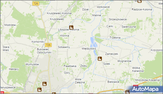 mapa Międzybórz gmina Opoczno, Międzybórz gmina Opoczno na mapie Targeo