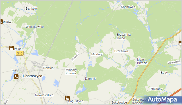 mapa Miodary gmina Dobroszyce, Miodary gmina Dobroszyce na mapie Targeo