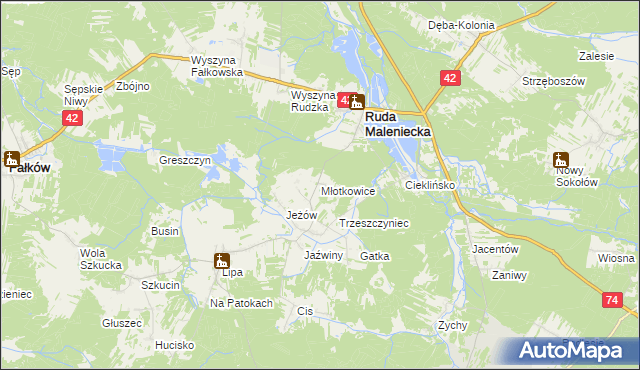 mapa Młotkowice, Młotkowice na mapie Targeo