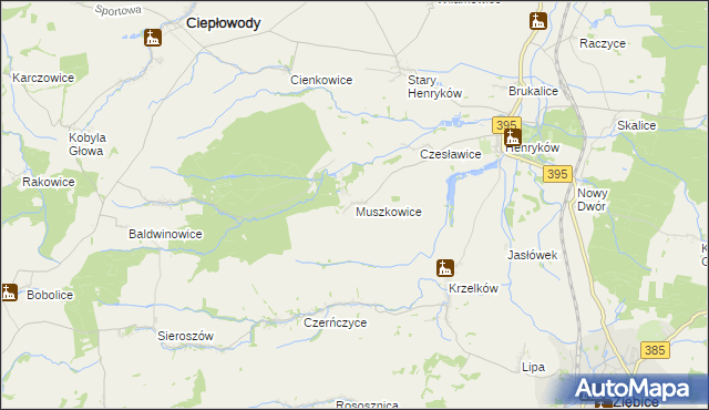 mapa Muszkowice, Muszkowice na mapie Targeo