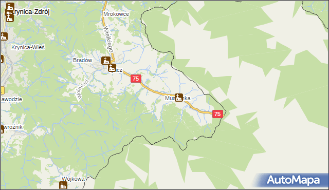 mapa Muszynka, Muszynka na mapie Targeo