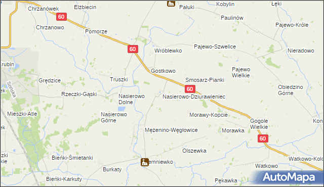 mapa Nasierowo-Dziurawieniec, Nasierowo-Dziurawieniec na mapie Targeo