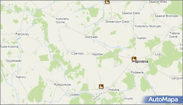 mapa Nasiłów gmina Paprotnia, Nasiłów gmina Paprotnia na mapie Targeo