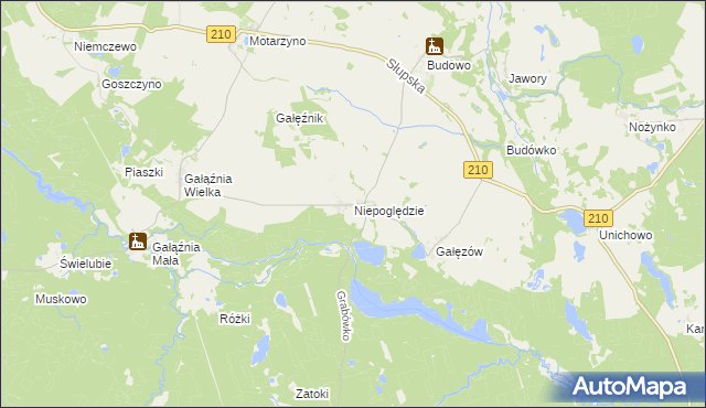 mapa Niepoględzie, Niepoględzie na mapie Targeo