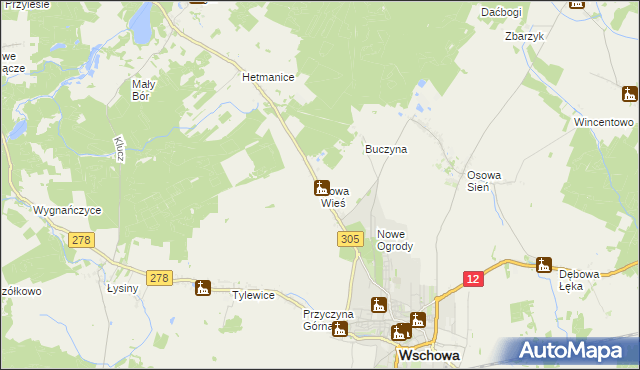 mapa Nowa Wieś gmina Wschowa, Nowa Wieś gmina Wschowa na mapie Targeo