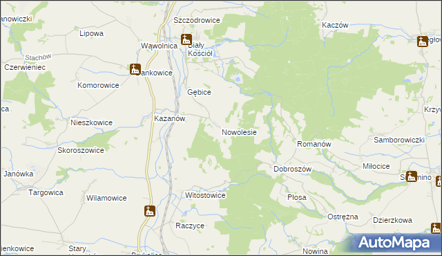 mapa Nowolesie, Nowolesie na mapie Targeo