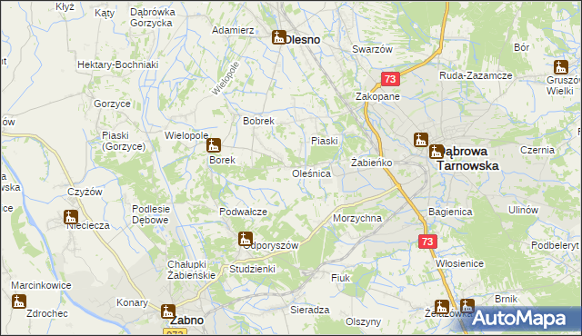 mapa Oleśnica gmina Olesno, Oleśnica gmina Olesno na mapie Targeo