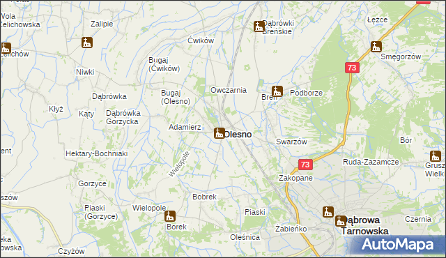 mapa Olesno powiat dąbrowski, Olesno powiat dąbrowski na mapie Targeo