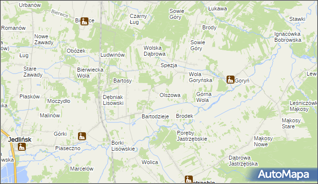 mapa Olszowa gmina Jastrzębia, Olszowa gmina Jastrzębia na mapie Targeo