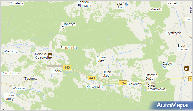 mapa Orlina Duża, Orlina Duża na mapie Targeo